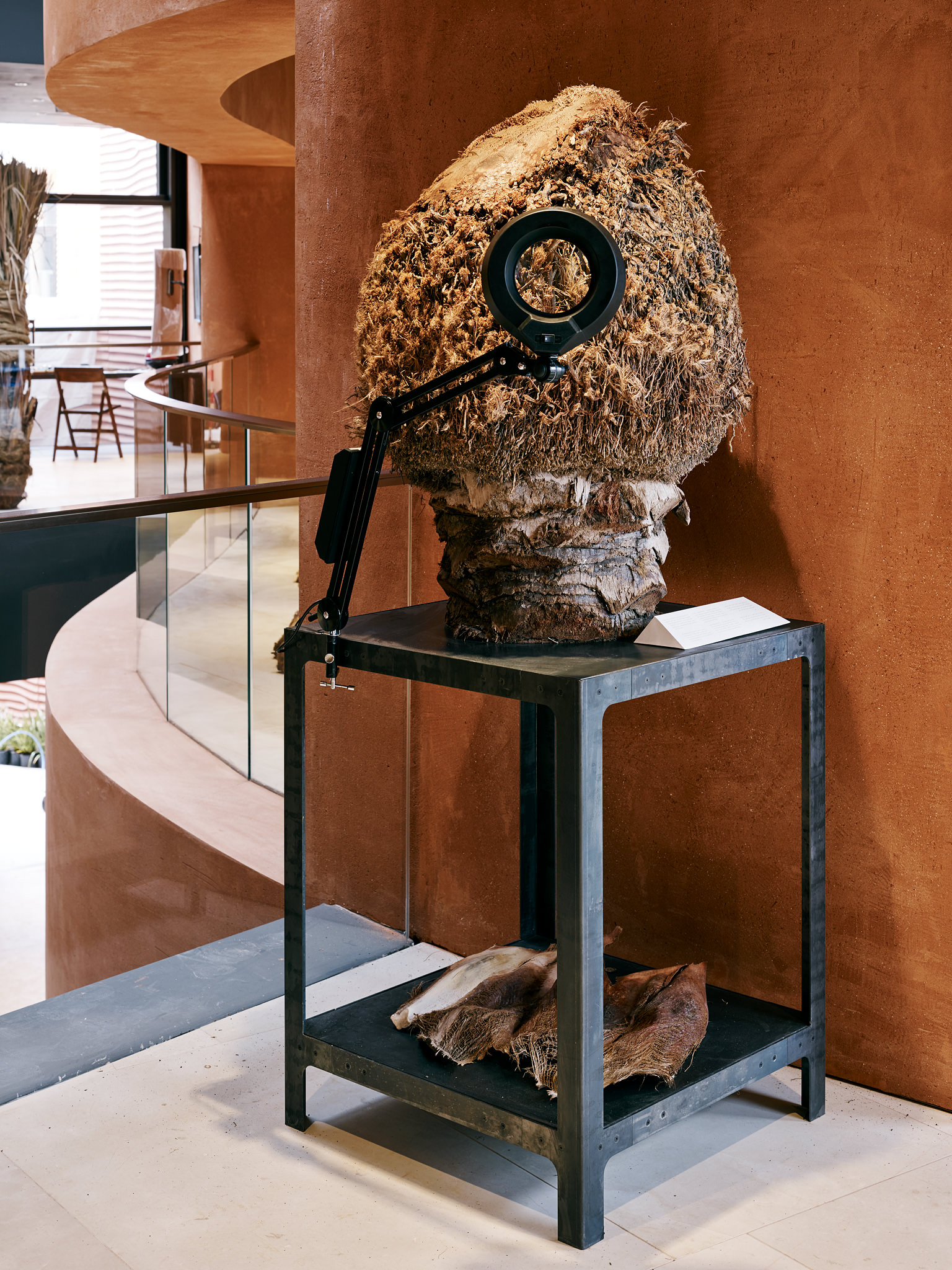 E15547 Alpa 050275 SCREEN